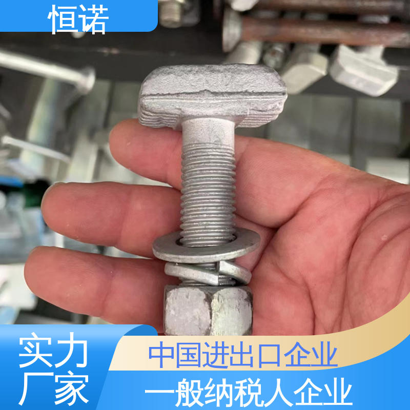 源头工厂 来图定做 抗拉耐腐蚀 哈芬槽用T型螺栓 恒诺