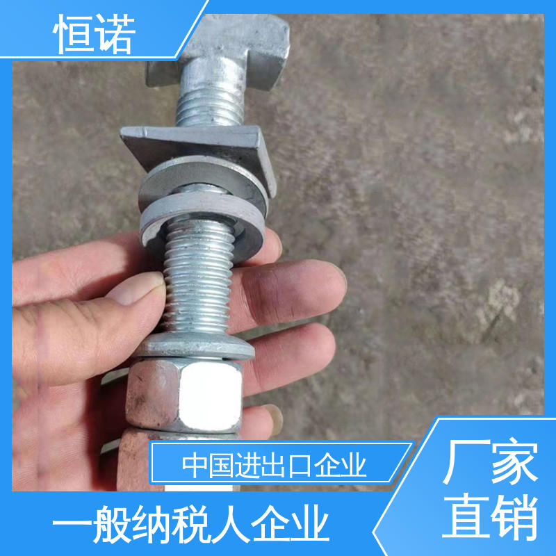 源头工厂 图纸定做 品质保证 管廊托臂T型螺栓 恒诺