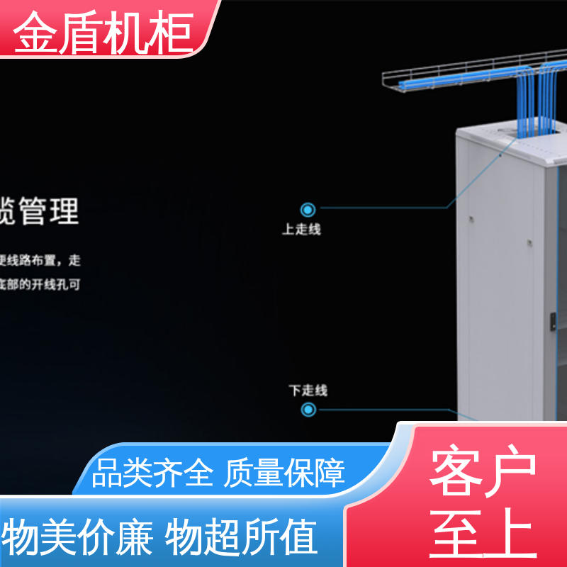 标准机柜 弱电交换机用 可安装各类网络设备 现货直发 金盾