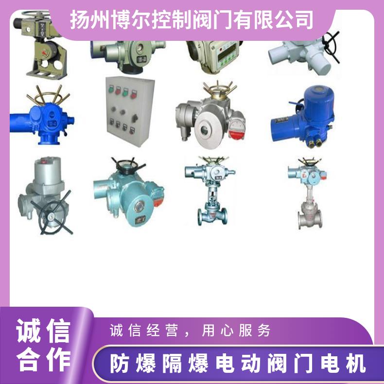 防爆隔爆电动阀门电机YBDF-WF-3114 312 博尔电装 DZW120-18W/z