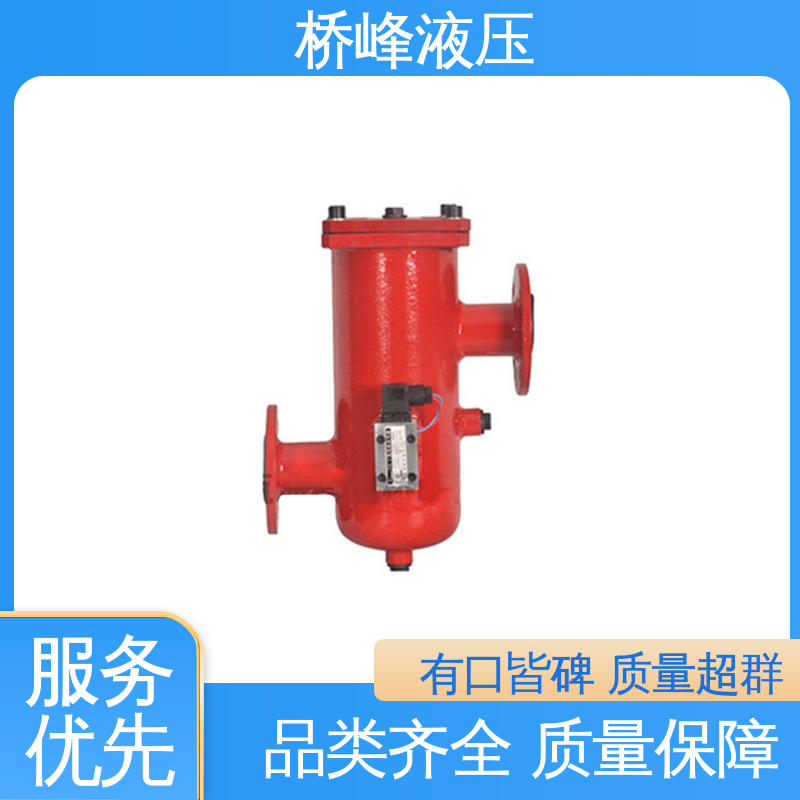 桥峰 回复迅速 值得信赖 精良大流量双筒过滤器 支持定制