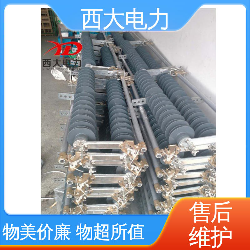 型号和资质齐全 防风型跌落式熔断器 西大电力