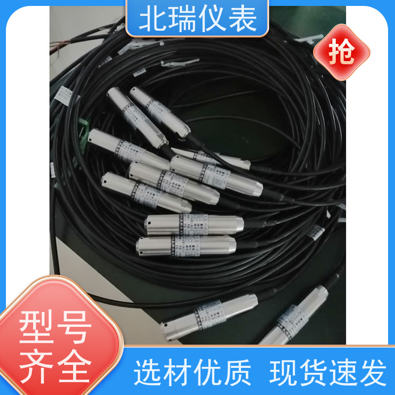 北瑞仪表 压力式液位计 抗干扰能力强 防护等级高 厂家供应 售后无忧
