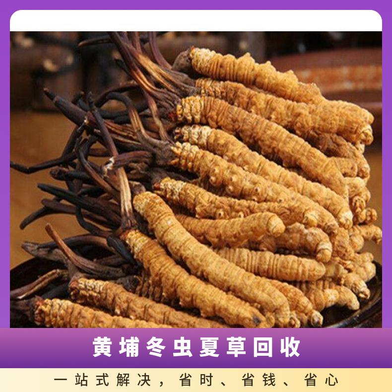 礼盒装冬虫夏草回收市场行情 黄埔收购散装虫草燕窝 求购名酒礼品