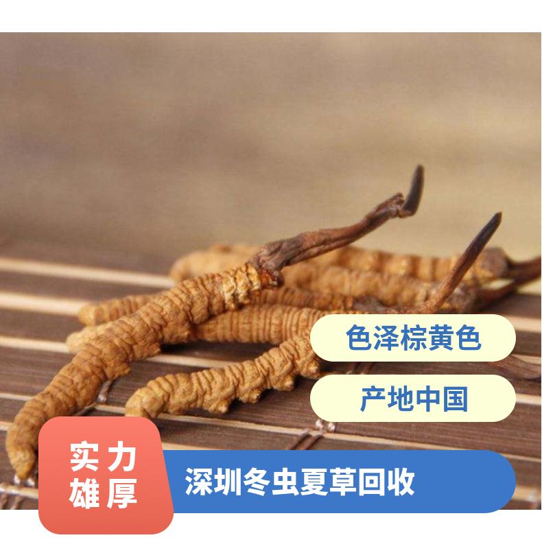 高价收购 回收冬虫夏草礼盒装/散装 免费鉴定 一站式服务 现场交易