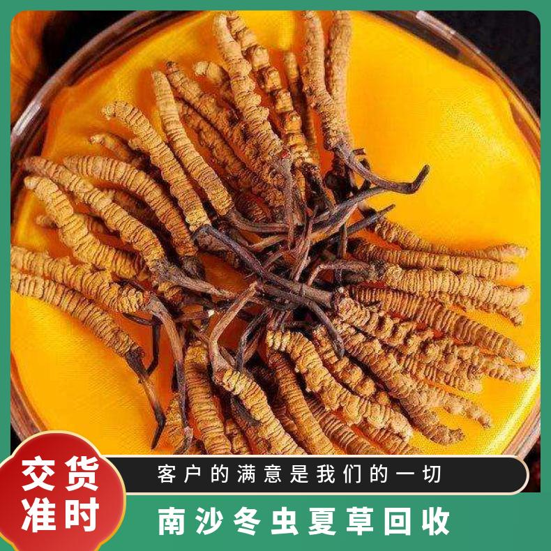 南沙冬虫夏草回收店铺 广粤商行长期上门收购虫草燕窝名酒礼品