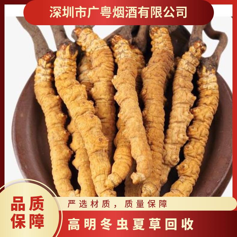 高明冬虫夏草回收价格 上门回收虫草燕窝 高价收购冬虫夏草名酒礼品
