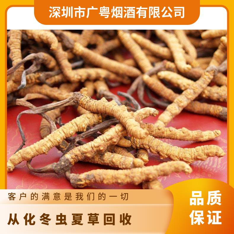 礼盒装散装冬虫夏草回收 广粤商行上门收购虫草燕窝茅台酒名酒礼品