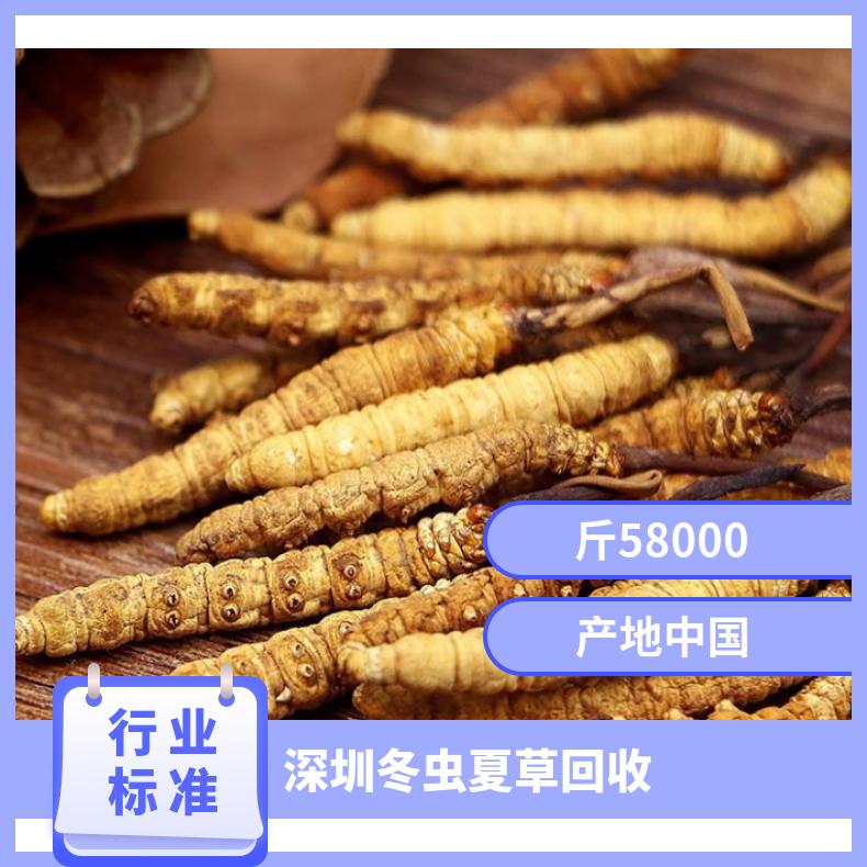 广粤商行冬虫夏草回收价 礼盒装散装虫草燕窝一克几钱 上门鉴定收购