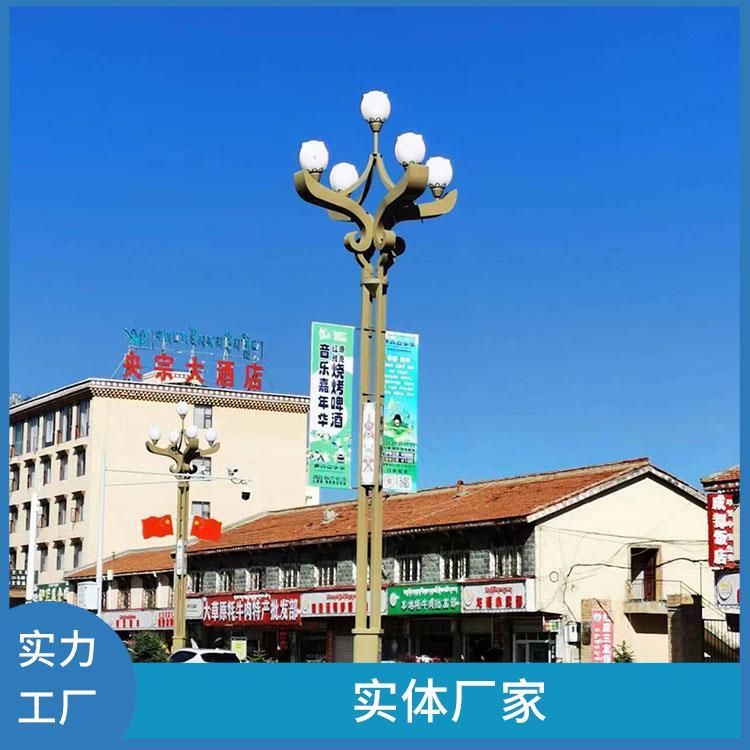 交通综合杆路氏灯具坚固耐用多功能照明灯杆