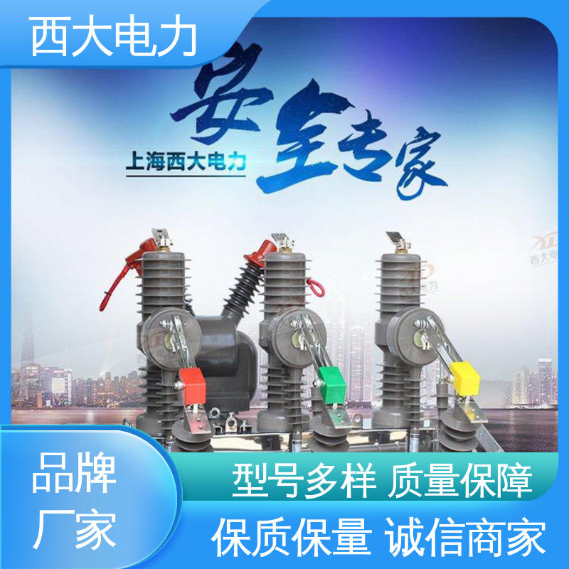 真空断路器 ZW32-24 支持根据图纸定做 西大电力