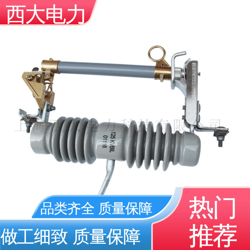 支持根据图纸定做 NCX-12 户外防风型跌落式熔断器 西大电力