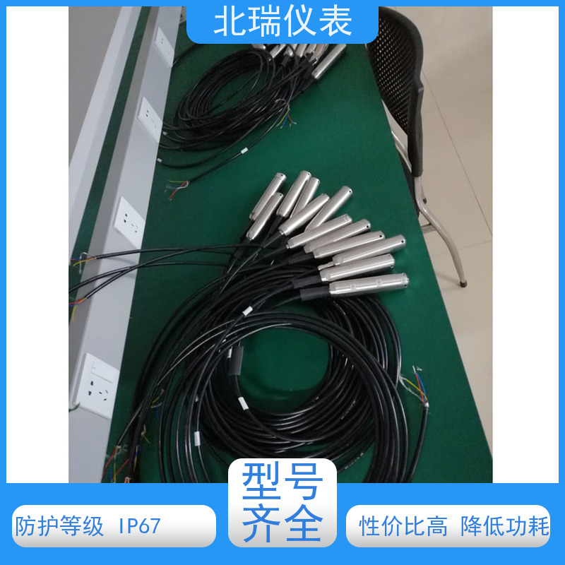 北瑞仪表 耐温耐压耐腐蚀 售后无忧 诚信经营 一体化遥测压力式水位计