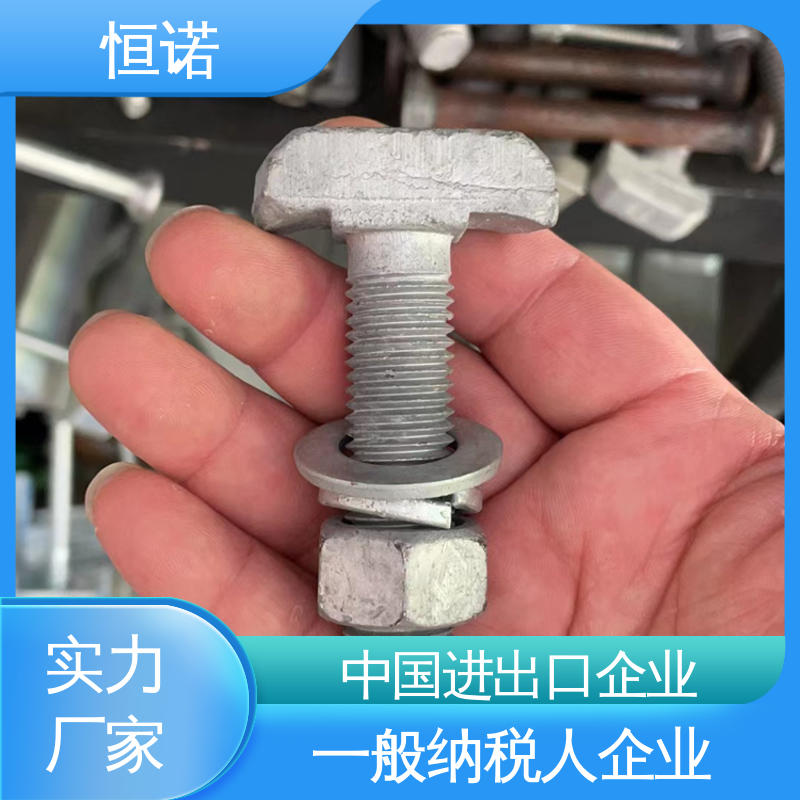 恒诺 图纸定做 坚固耐用 发货及时 管廊支架配件T型螺栓
