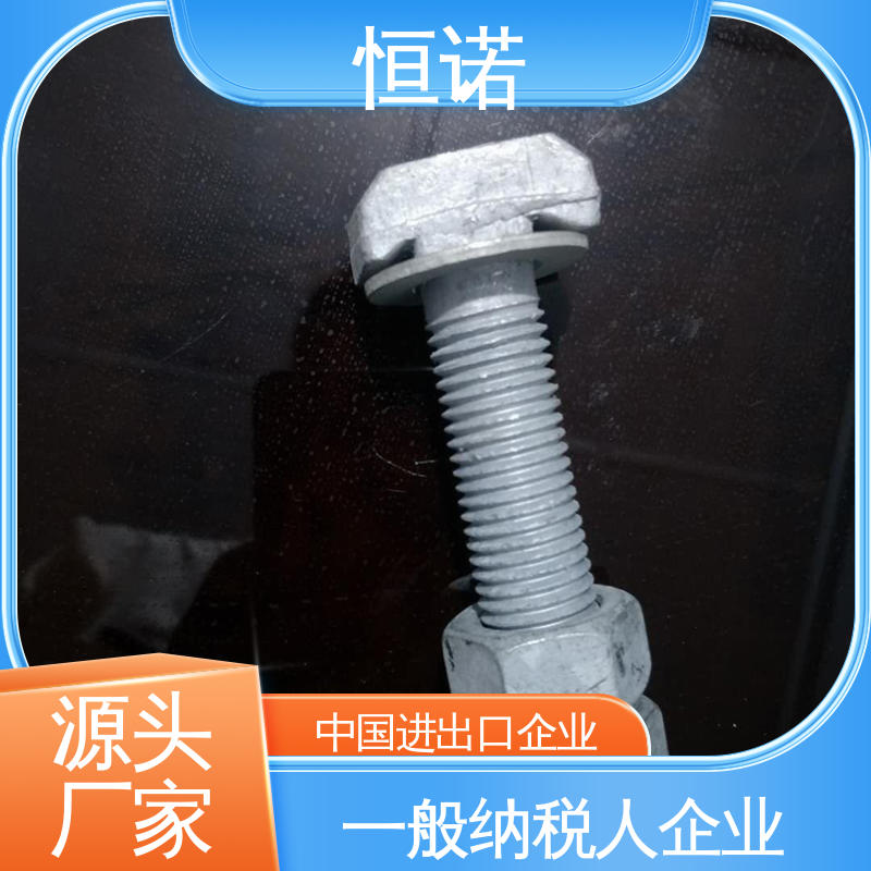 恒诺 厂家供应 可寄样品 大量现货 热镀锌预埋槽道T型螺栓