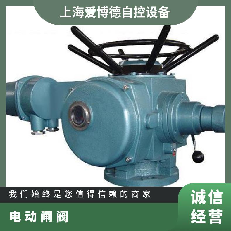 DZW30-24 户外型电动执行器 其他蝶黔自控 380 规格齐全 多回转