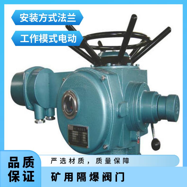 蝶黔装置DZW10阀门15隔爆DZB 是 法兰 1-5000 电动执行器