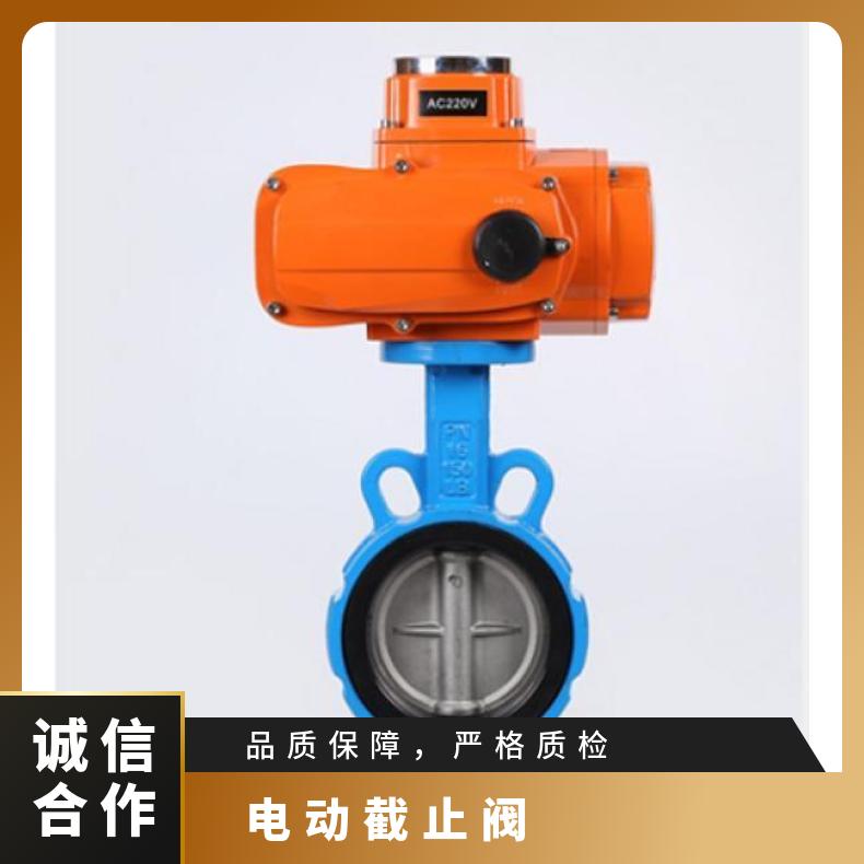 精小型电动执行机构 100nm普通开关型角行程执行器