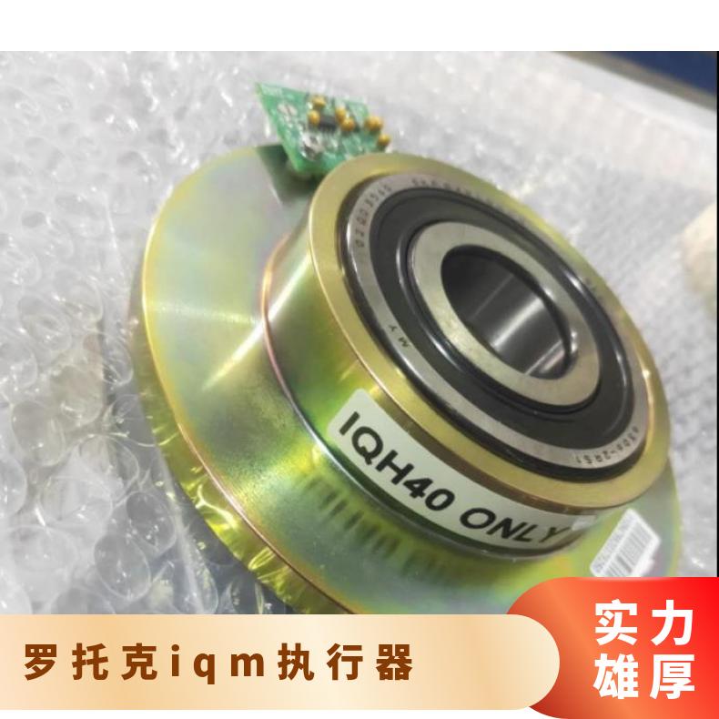 英国原装进口罗托克IQ/IQM/IQT系列电动执行器配件罗主板6G