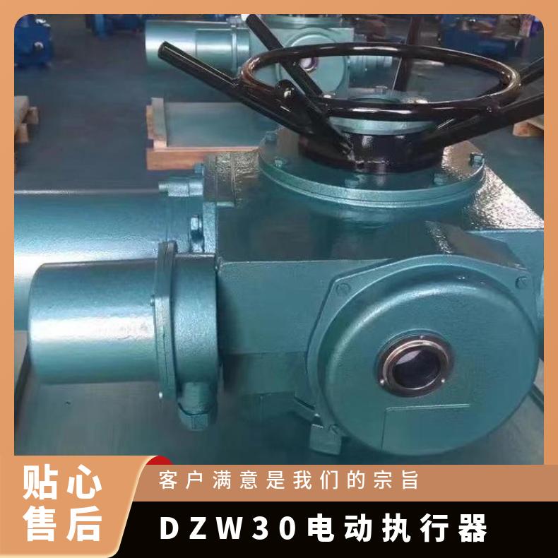 DZW15 30 电动执行器组件 阀门 多圈 蝶黔 1-5000 是 法兰