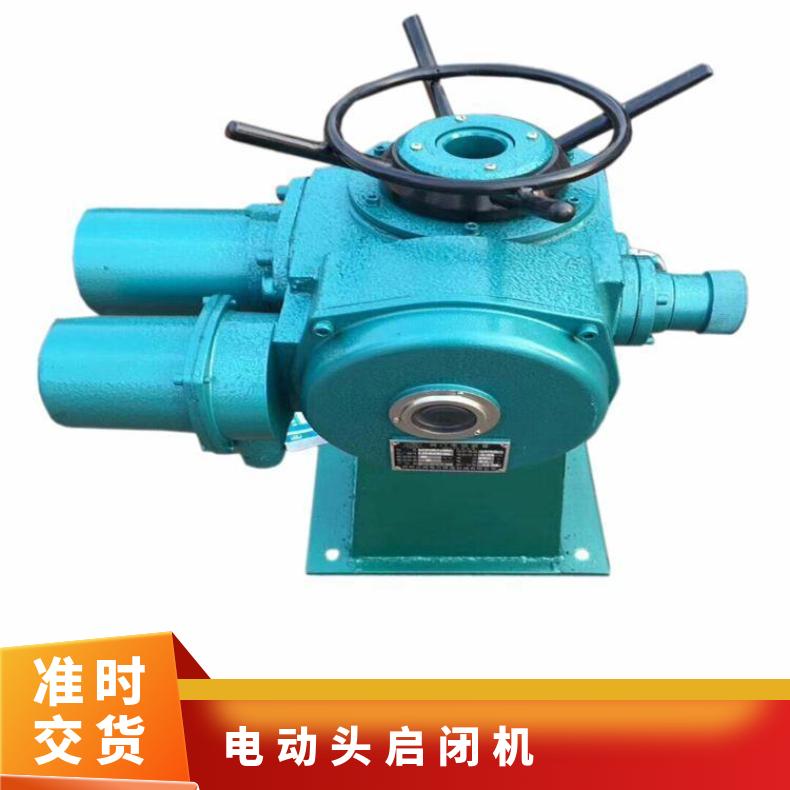 QDA电装启闭机 头 户外型手自一体 电动执行器 上海蝶黔