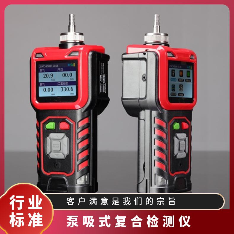 泵吸式复合检测仪 可燃、氧气有毒有害气体 型号XY-200R
