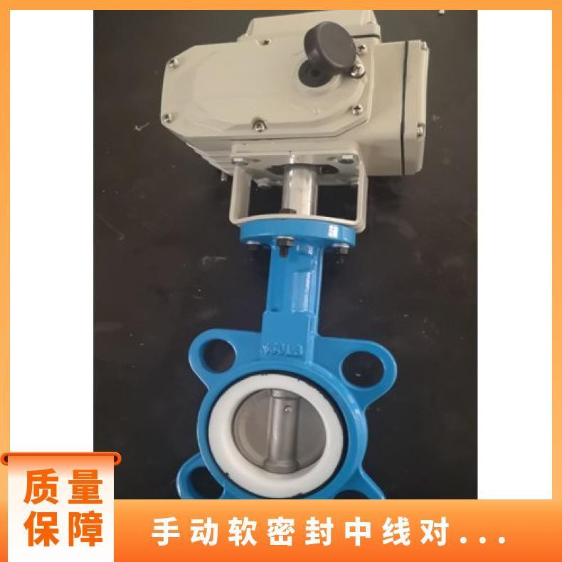 球墨铸铁蝶阀手动蜗轮法兰软密封中线D341X-16Q