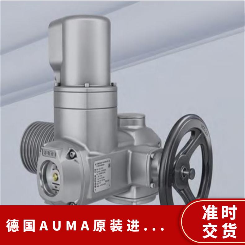 AUMASA07.2-F10 德国进口 1-5000 是 蝶黔 电动执行器