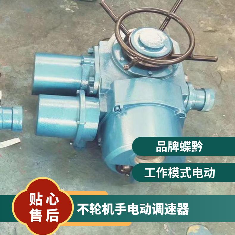 部分回转手电动调速器的功 蝶黔 是 10kg~500kg 380 法兰