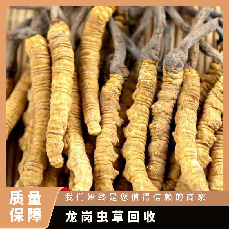 虫草回收商 高价收购礼盒装冬虫夏草燕窝 广粤商行求购名酒礼品