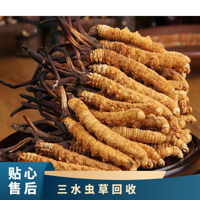 虫草回收上门商家 广粤商行高价收购冬虫夏草燕窝礼盒装名酒礼品