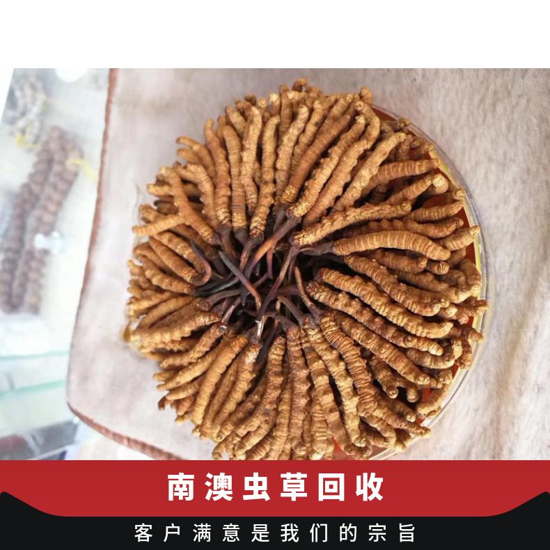 虫草回收商家广粤商行上门收购冬虫夏草燕窝 在线求购名酒礼品