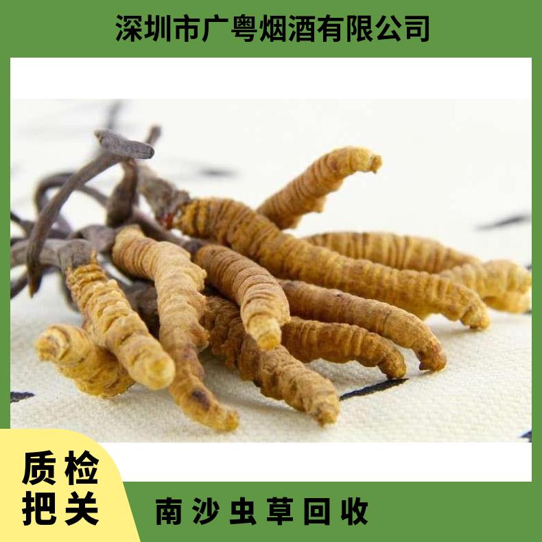 虫草回收店铺 广粤商行收购冬虫夏草燕窝海参鱼胶 求购名酒礼品