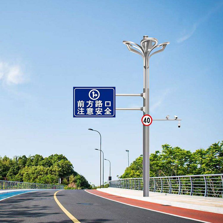 LED大型玉兰灯 户外市政道路照明灯 太阳能景观灯 定制加工