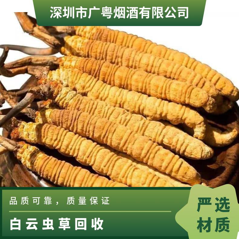虫草回收行情趋势 广粤商行收购礼盒装冬虫夏草燕窝名酒礼品