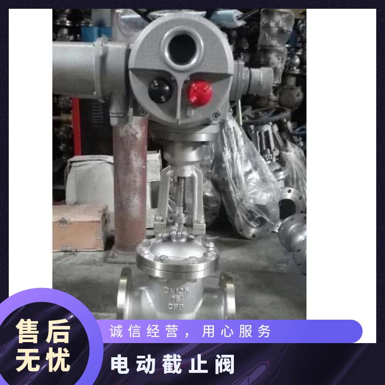 蝶黔闸阀Z941H-100C DN150系列电动法兰闸阀