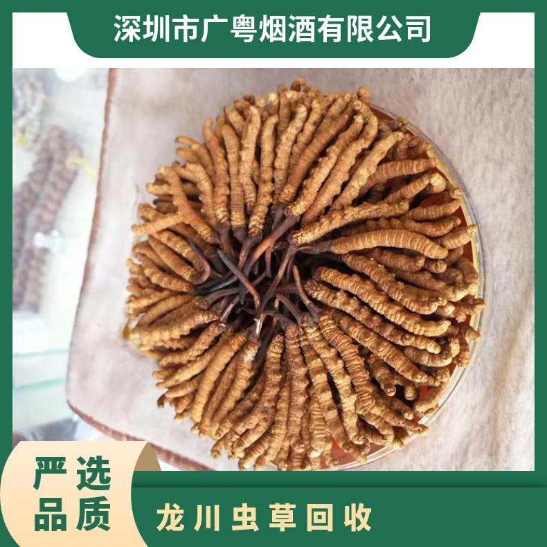 虫草回收上门价目表 广粤商行高价收购冬虫夏草燕窝 免费鉴定