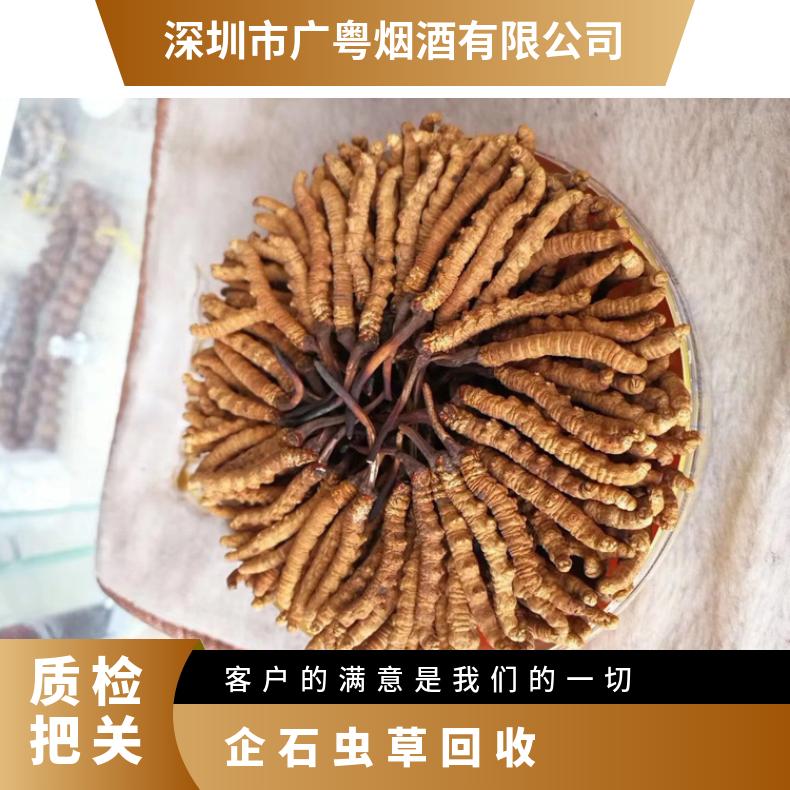 虫草回收实体店 高价收购冬虫夏草燕窝 广粤商行免费登门