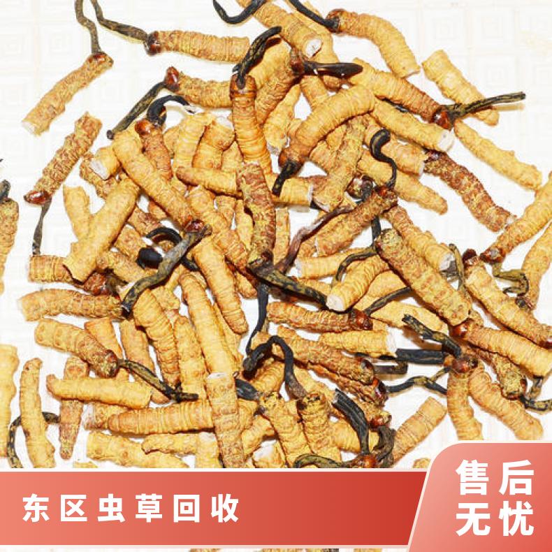 虫草回收行情价目 高价收购礼盒装冬虫夏草燕窝 广粤商行登门求购