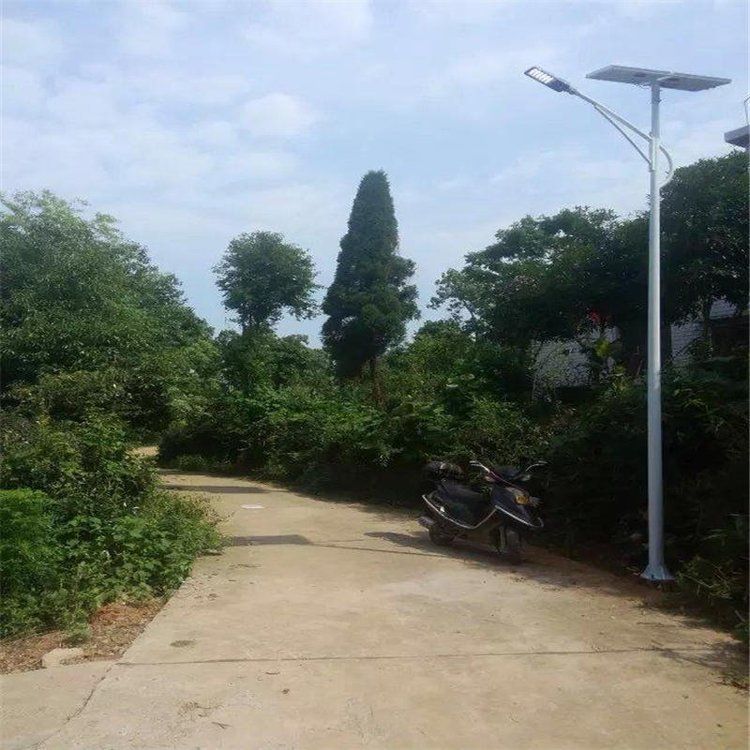 LEd路灯排名 小区7米太阳能路 灯 节能庭院灯批发