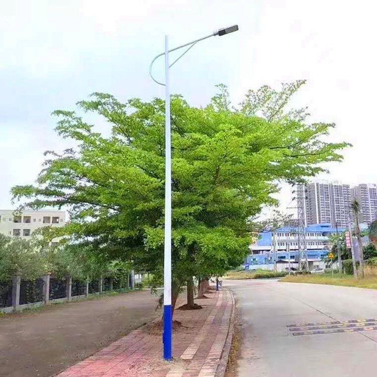 9米海螺臂路灯杆供应 LED照明路灯柱 LEd市电路灯