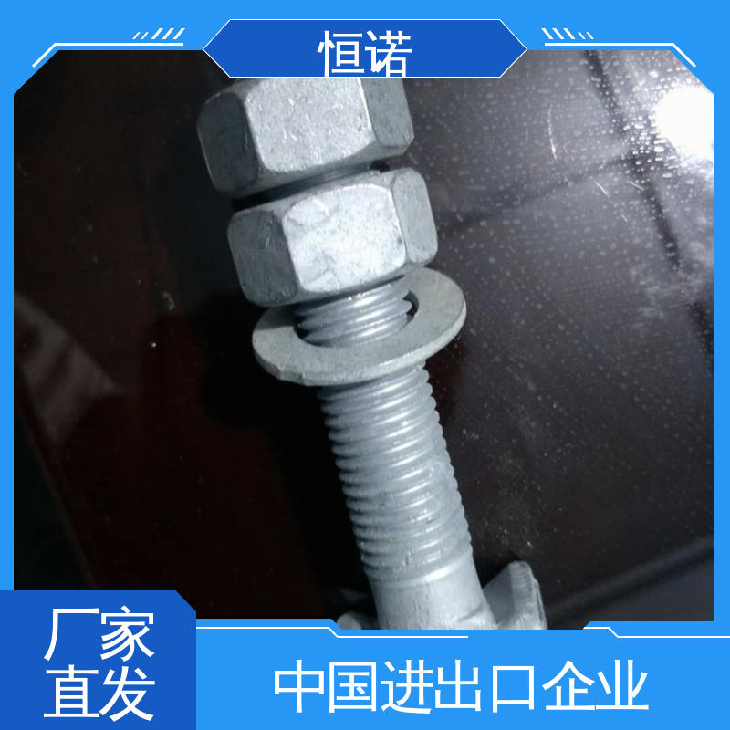 恒诺 热镀锌8.8级T型螺栓 防腐金属制品 厂家供应 订做异型件