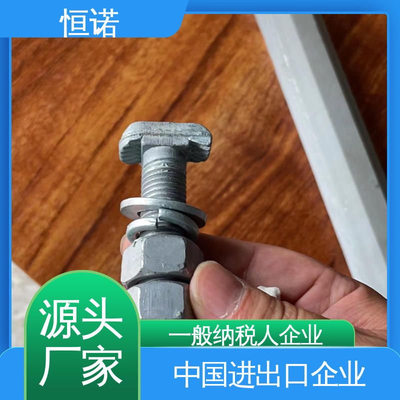 恒诺 厂家供应 防腐金属制品 来图定做 管廊托臂T型螺栓