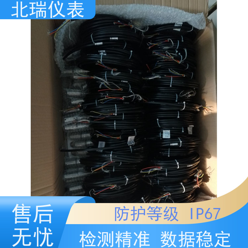 北瑞仪表 抗干扰能力强 防护等级高 多规格可选 库存充足 压力式液位计