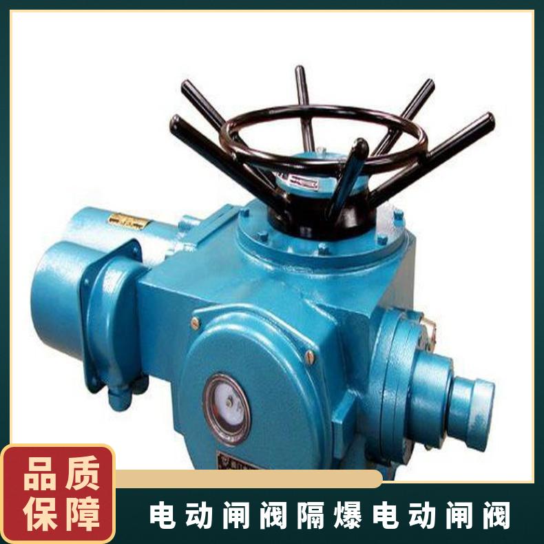 DZW-WK2系列电动执行机构 DZW20+WK2机电一体化执行器