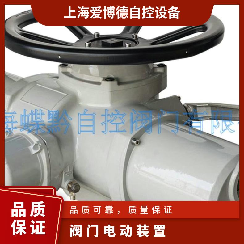 罗托克多回转电动闸阀执行器DQZKIQC 上海蝶黔自控 DZW15/20