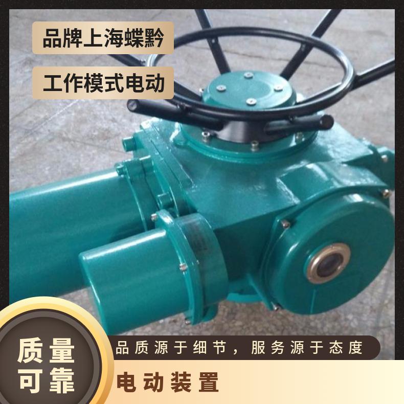 SDQ10000.5 SDZ手电动调速器 -20℃~60 上海蝶黔
