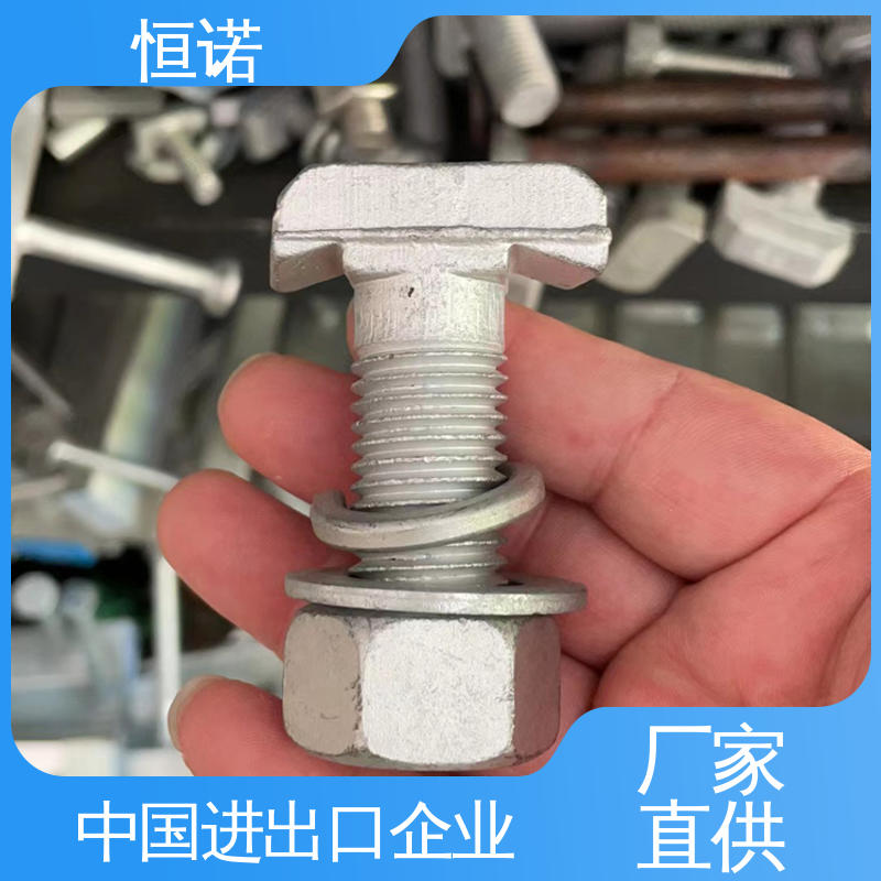 恒诺 实体厂家 规格齐全 管廊托臂T型螺栓 订做异型件