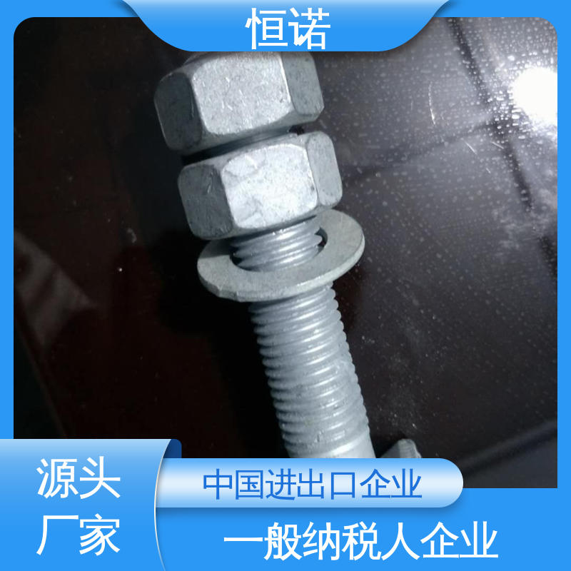 恒诺 抗拉耐腐蚀 哈芬槽用T型螺栓 订做异型件 发货及时