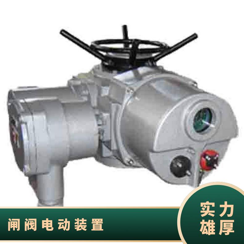 DZW250-18W/ZT 多回转装置 350-W 电动执行器 蝶黔 法兰